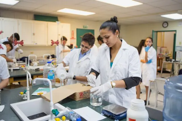 Lab
